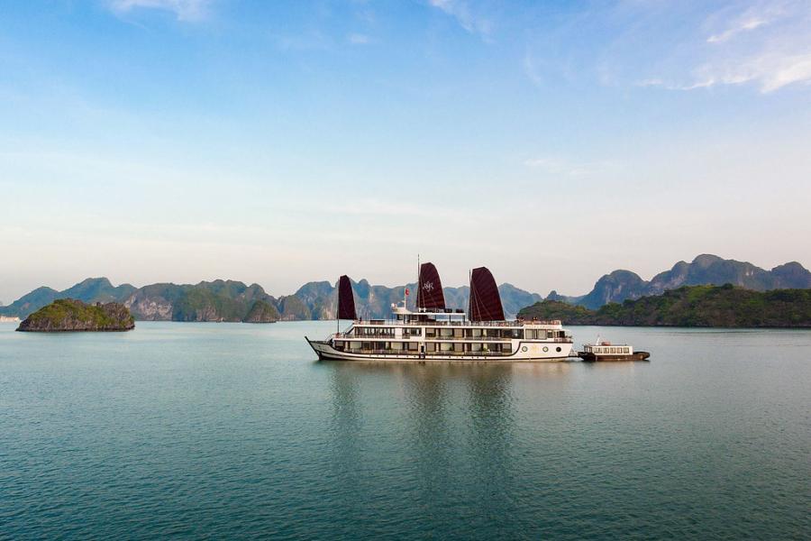 Orchid Trendy Cruise 5*