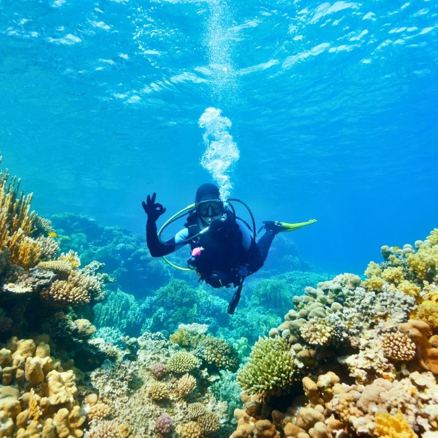 Halong Bay Scuba Diving & Snorkeling: Complete Guide
